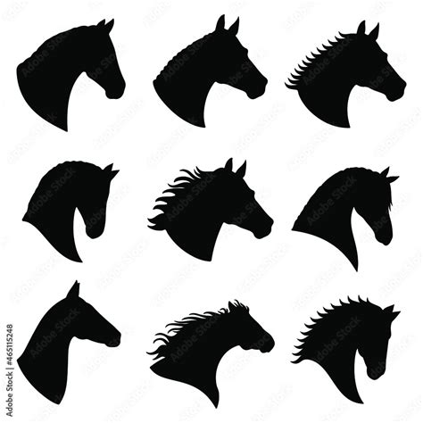 Plakat Cabeza De Caballo Silueta De Cabeza De Caballo Diferentes