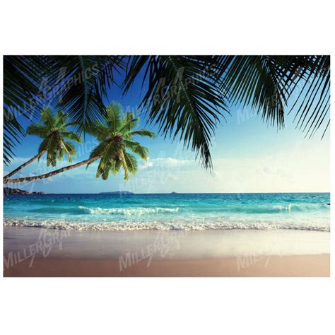 Beach Ocean Waves 2 Palm Trees Wall Decal Sticker Graphic