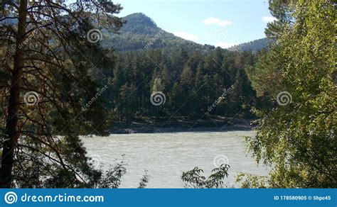 Katun River The Main Waterway Of The Gorny Altai Stock Image Image
