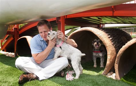 Paw Print City Times: Dream Dog Park unveiled!