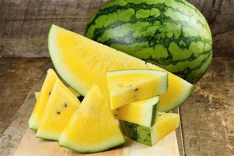 gelbe melone das besondere der ananas wassermelone gartenlexikon de