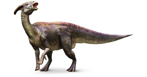 Parasaurolophus Parasaurolophus Facts DK Find Out