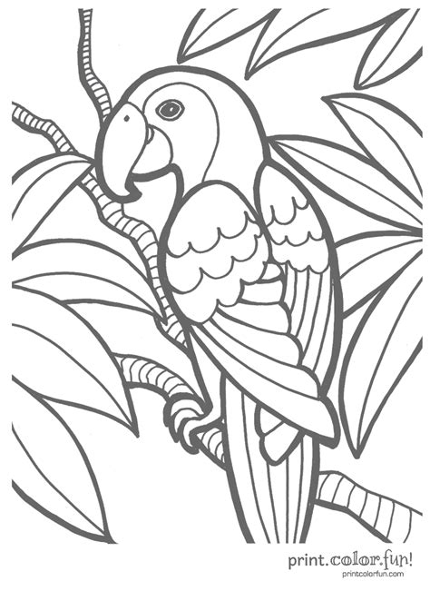 Maybe you would like to learn more about one of these? Coloring Pages Tropical - Coloring Home
