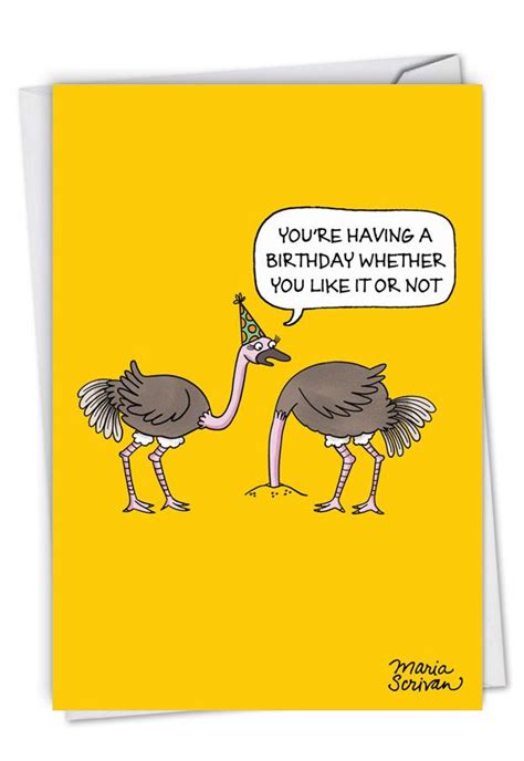 Ostrich Party Humorous Birthday Card