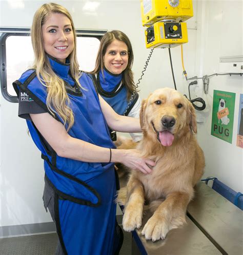 Mobile Veterinary Clinic | Traveling Tails