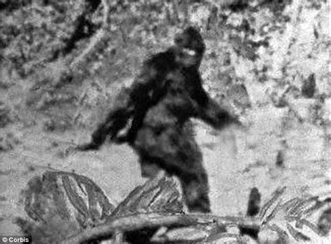 Texas Vet Melba Ketchum Claims To Have Found Dna Of Bigfoot Daily