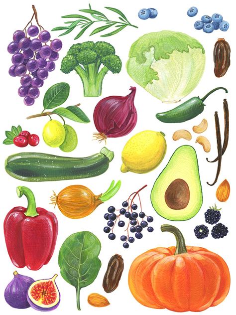 Fruit And Vegetable Abc Poster On Behance Vegetable Drawing