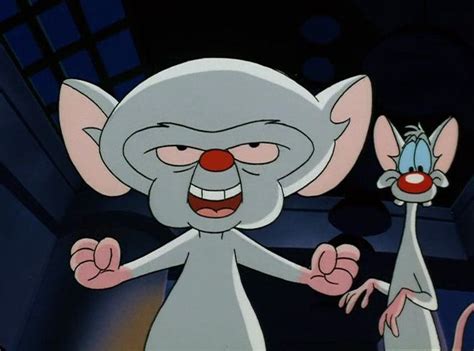 Pinky And The Brain Laugh About It Pinterest