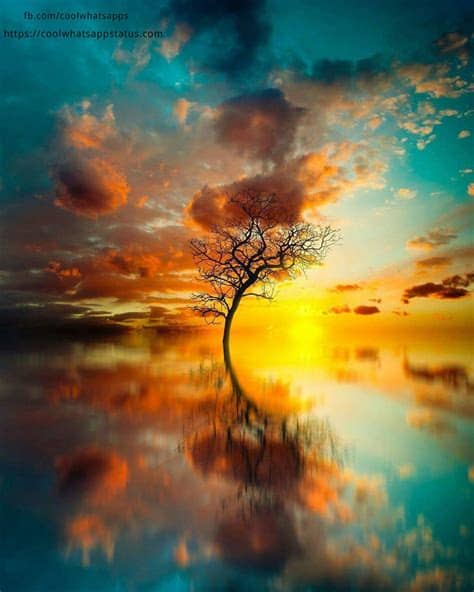 60 Most Stylish Cool WhatsApp Wallpapers 2017 - Cool ...
