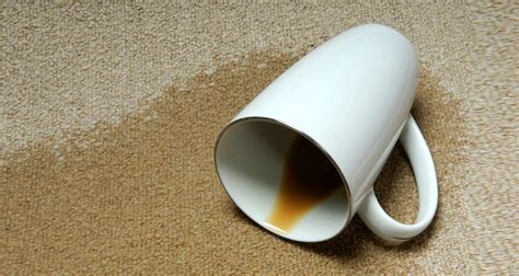Zunächst wird der teppich mit einem tuch oder einem stück küchenpapier abgetupft, um so viel von der flüssigkeit aufzunehmen, wie möglich. Kaffeeflecken entfernen - Die besten Tipps - CHIP