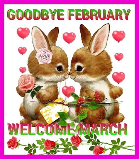 Romantic Bunny Goodbye February Welcome March Image Pictures Photos