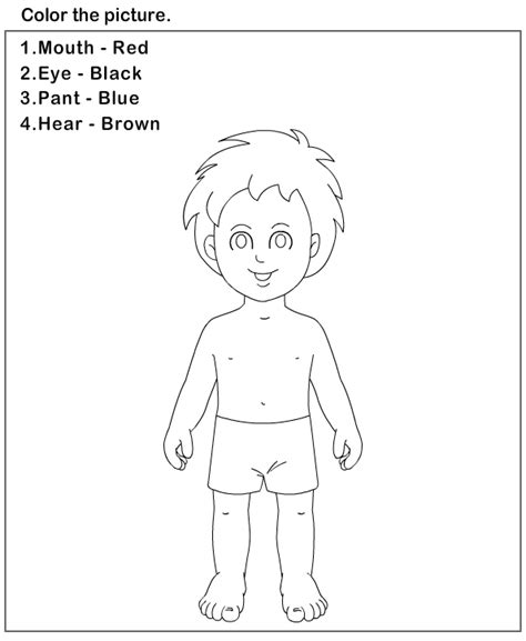 Free Download Body Parts Coloring Pages For Preschool
