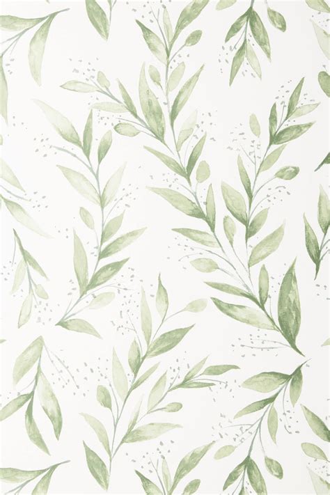 Magnolia Home Olive Branch Wallpaper Cute Wallpaper Backgrounds