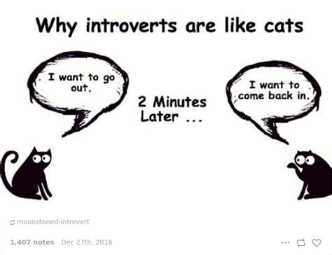 20 Struggles That Perfectly Sum Up Your Life As An Introvert