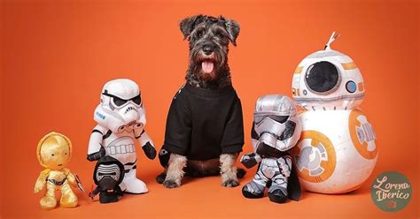 75 Star Wars Dog Names Names From The Galaxy Far Far Away