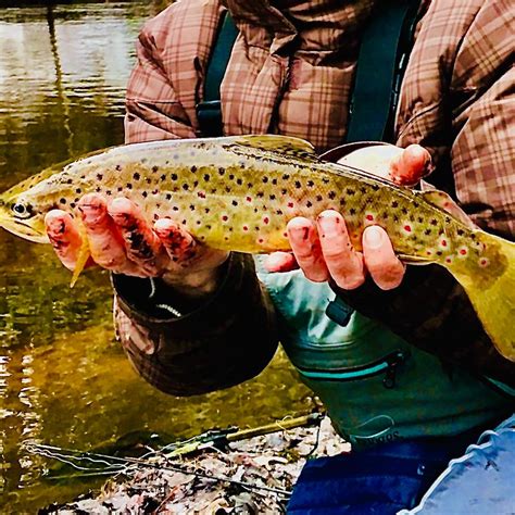All Trout Streams In Wi Wisconsin Fishing Reports And Discussions