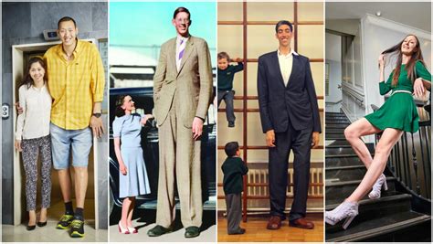 A woman without a man is like a fish without a bicycle. A history of record-breaking giants 100 years after the ...