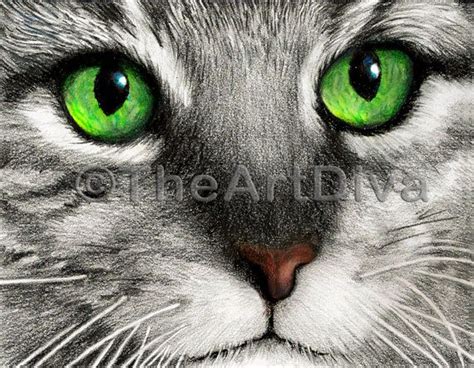 I really hope this tutorial / guide is useful. Green Cat Eyes 'Emerald Eyes' Colored Pencil Drawing by ...