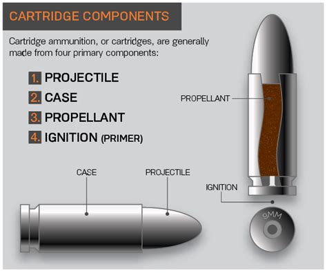 What Every New Gun Owner Should Know About Ammunition