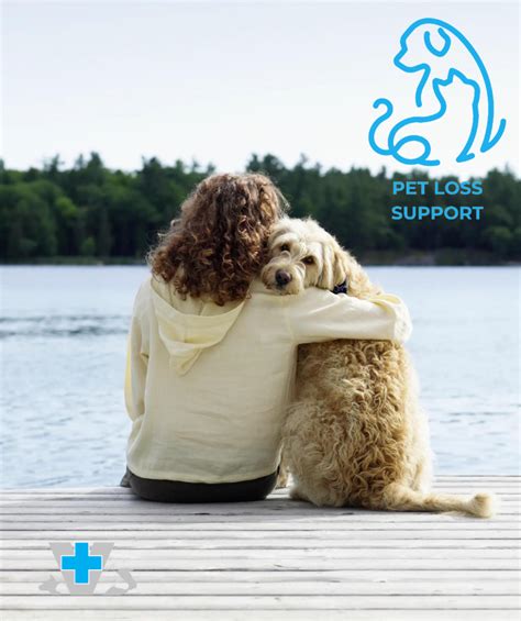 Pet Loss Support Why Is It Harder To Move Forward After Losing A Pet