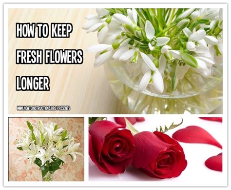 From adding common household items (such as a little bleach, apple cider vinegar or vodka) to the flower water to storing the blooms in the fridge overnight (yes, really!), these. How To Keep Flowers Fresh Longer | How To Instructions
