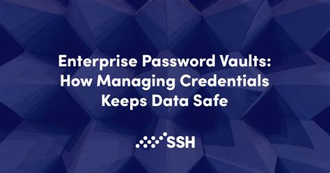 what is an enterprise password vault