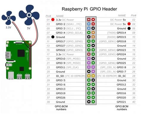 How Connect A Fan To A Raspberry Pi •