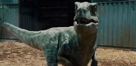 Animated Gif Jurassic World Dinosaurs Jurassic World Jurassic Park