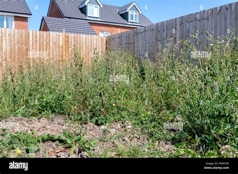 Garden Of A New Build House Overgrown With Weeds Stock Photo Alamy