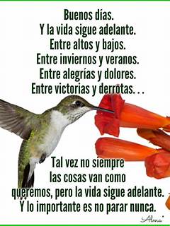 Discover The Significance Of Bendecido Jueves %e2%80%93 The Full Guide Exposed The Secrets You Cant Miss