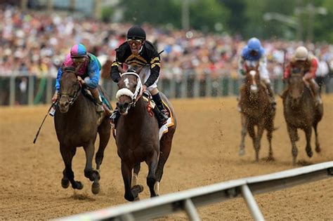 2013 preakness results — oxbow wins preakness stakes orb finishes fourth