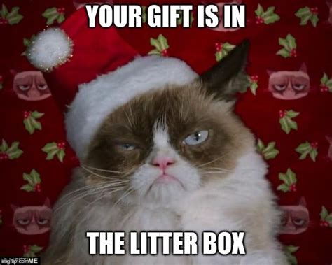 Grumpy Cat Christmas Imgflip