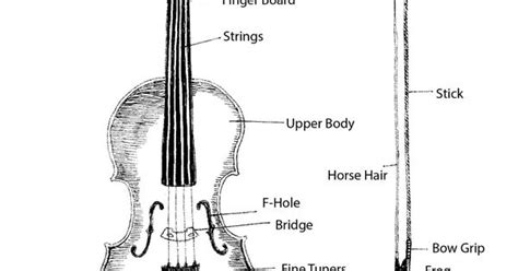 Violin Parts And Printable Diagram Homeschooling Attentiveness