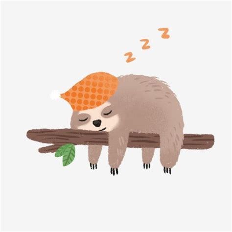Maybe you would like to learn more about one of these? Hand Drawn Cute Sleeping Sloth, Cute Clipart, Sloth, Hand Drawn PNG Transparent Clipart Image ...