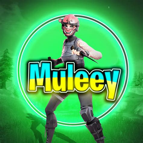 Make U A Fortnite Profile Picture Or A Banner Or Any