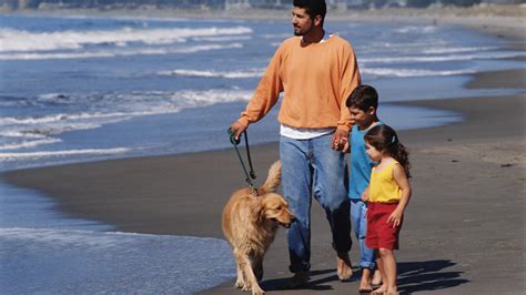 Discover Dog Friendly Beaches In Canada
