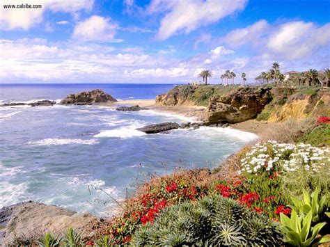 According to surveys in europe and the united states, pink is the color most often associated with charm, politeness, sensitivity, tenderness, sweetness, childhood, femininity and romance. Nature: Laguna Flowers Laguna Beach California, picture nr ...
