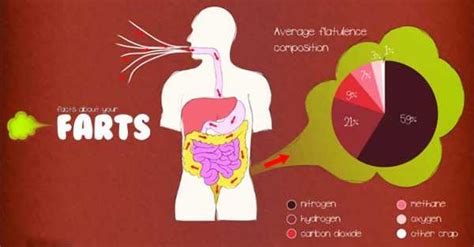 30 Crazy Facts About Farts You Probably Didnt Know Health And Love Page