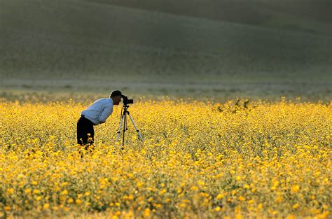 Mar 20, 2018 · carolyn s. Super Bloom 2019: Where and When to See the 'showstopping ...