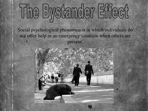 Ppt The Bystander Effect Powerpoint Presentation Free Download Id 3011910