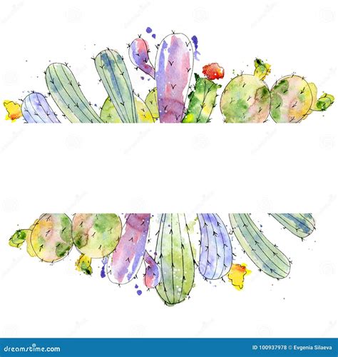 Tropical Cactus Arrangements Borders Frames Watercolor Cacti Print