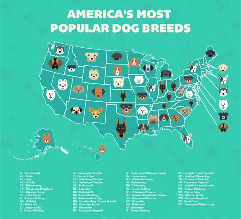 What Is The Most Popular Dog Breed In Your State Many Americans Are