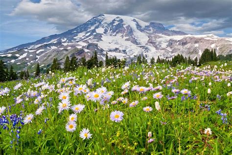 14 Best Hikes In Mount Rainier National Park Washington