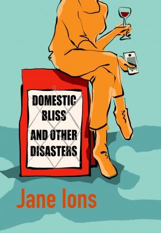 Domestic Bliss And Other Disasters Bluemoose Books