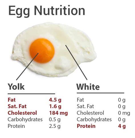 Hard boiled egg, 1 large egg. Egg Nutrition Facts - Understanding the Truth About Eggs