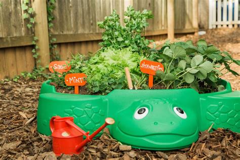 Mini Gardening Projects Kids Will Love Hgtv