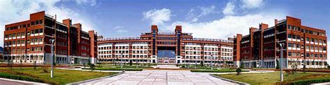 Life sciences and medicine sphere: Shandong University of Science and Technology
