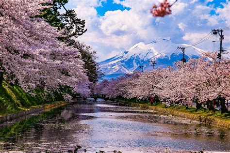 Spring season in Japan. | Spring season photography, Spring season, Japan