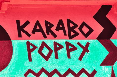 Karabo Poppy Vuse Pattern On Behance