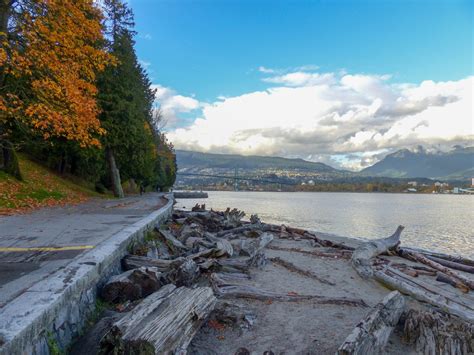 Stanley Park Seawall Vancouver Un Autumn Experiencetransat